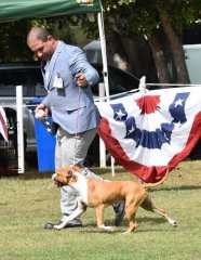 ASTCQ_Champ_Show_2016.jpg